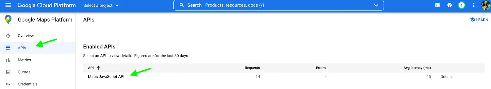 Google maps API key