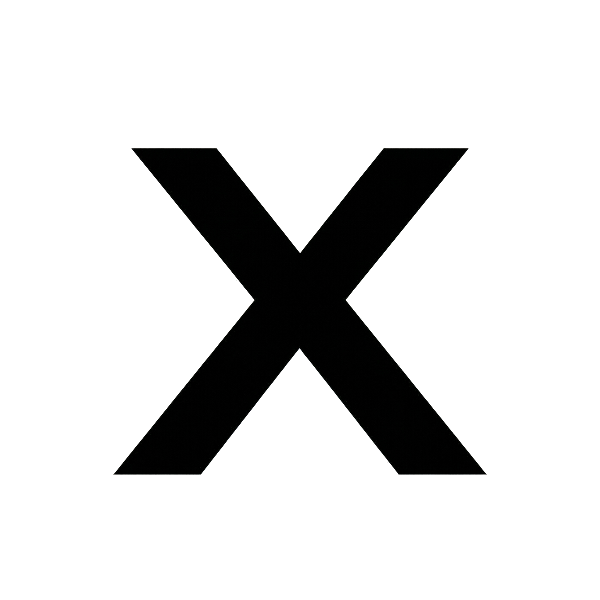 Twitter (X)